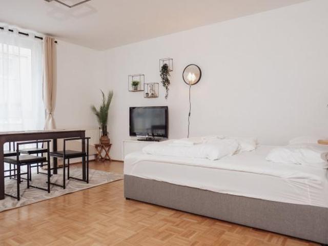 Zu Vermieten 1 Schlafzimmer Wohnung Vienna Vienna DS72490946
