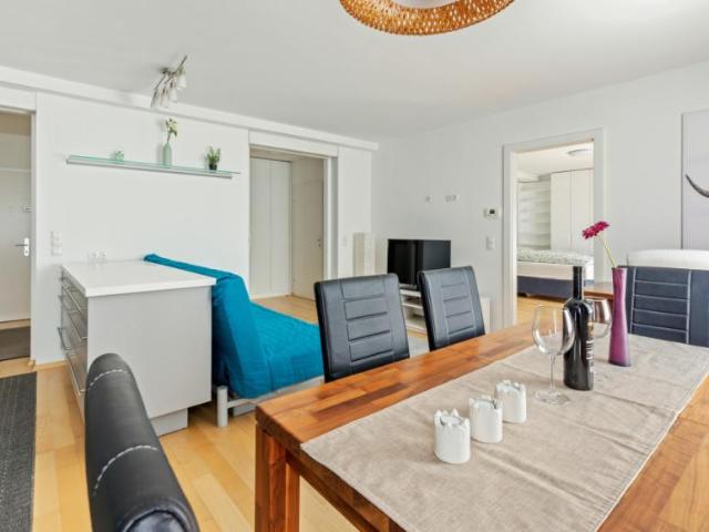 Zu Vermieten 1 Schlafzimmer Wohnung Vienna Vienna DS77941056