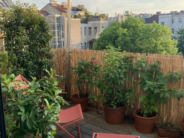 Zu Vermieten 1 Schlafzimmer Wohnung Vienna Vienna DS89983303