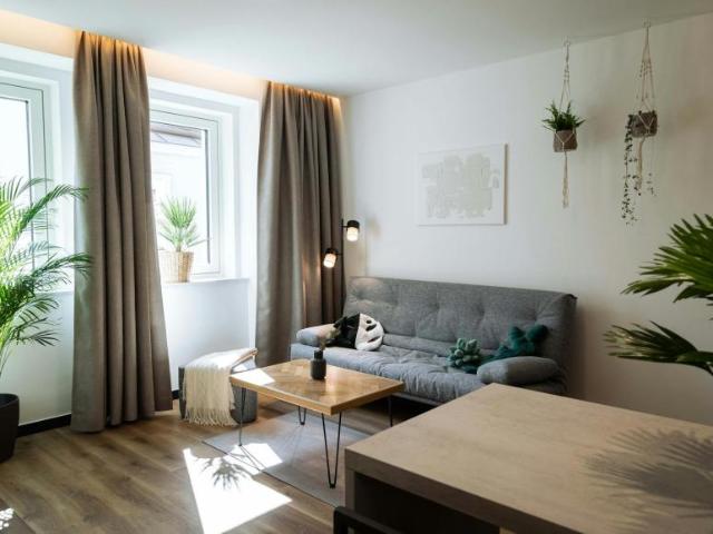 Zu Vermieten 1 Schlafzimmer Wohnung Vienna Vienna DS90994207