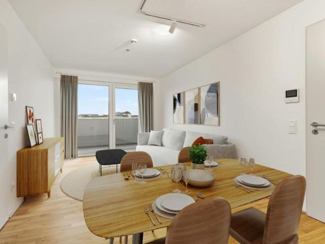 Zu Vermieten 1 Schlafzimmer Wohnung Vienna Vienna DS91154575
