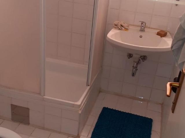 Zu Vermieten 1 Schlafzimmer Wohnung Vienna Vienna DS93327343