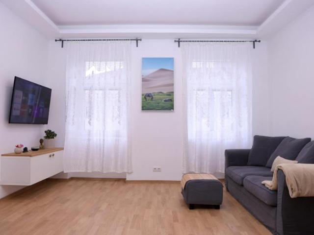 Zu Vermieten 1 Schlafzimmer Wohnung Vienna Vienna DS94993355