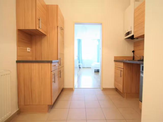 Zu Vermieten 1 Schlafzimmer Wohnung Vienna Vienna DS96177366