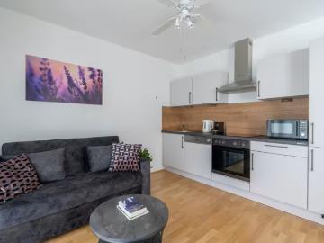 Zu Vermieten 1 Schlafzimmer Wohnung Vienna Vienna DS96304519