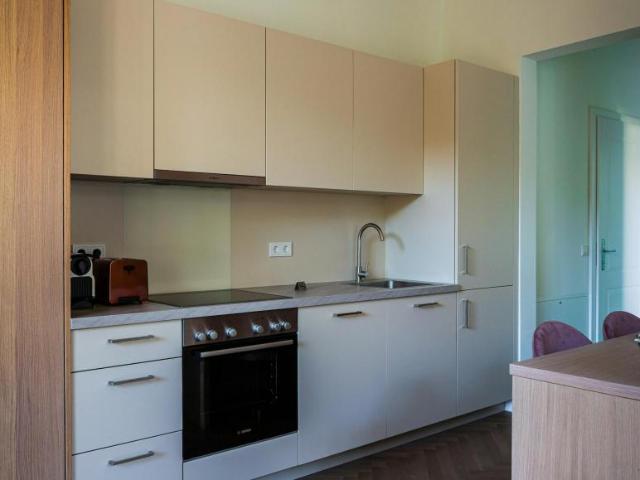 Zu Vermieten 1 Schlafzimmer Wohnung Vienna Vienna DS99937679
