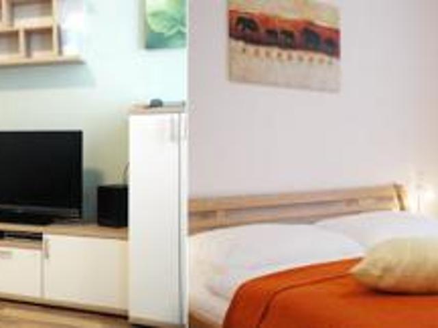 Zu Vermieten 1 Schlafzimmer Wohnung Vienna Vienna DS99937709