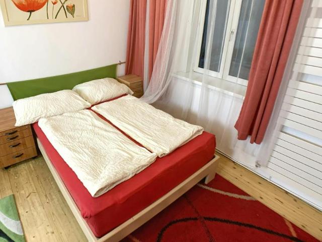 Zu Vermieten 1 Schlafzimmer Wohnung Vienna Vienna DS99158704