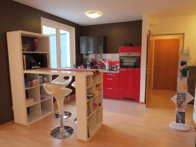 Zu Vermieten 1 Schlafzimmer Wohnung Wien AUT DS101106073