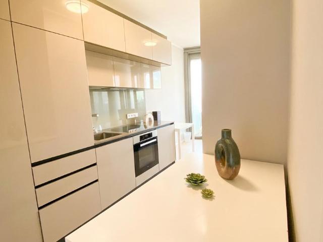 Zu Vermieten 1 Schlafzimmer Wohnung Wien AUT DS101473228