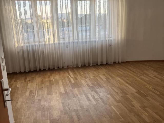 Zu Vermieten 1 Schlafzimmer Wohnung Wien AUT DS105111725