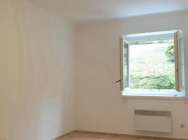 Zu Vermieten 1 Schlafzimmer Wohnung Wien Wien DS103741917