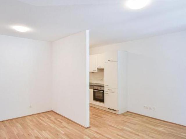 Zu Vermieten 1 Schlafzimmer Wohnung Wien Wien DS104259004