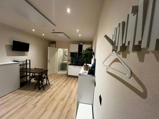 Zu Vermieten 1 Schlafzimmer Wohnung Wiener Neustadt Wiener Neustadt DS87474410