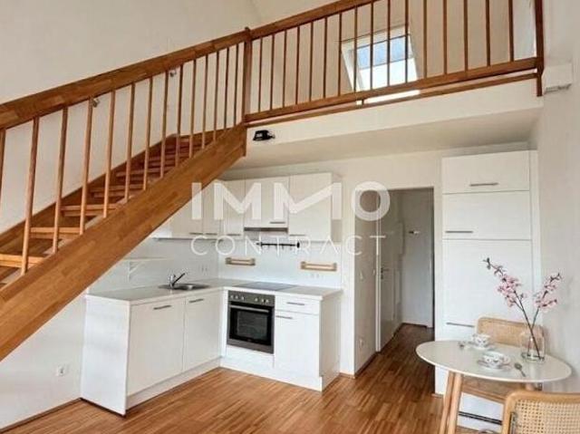 Zu Vermieten 1 Schlafzimmer Wohnung Burgenland Burgenland DS103843263