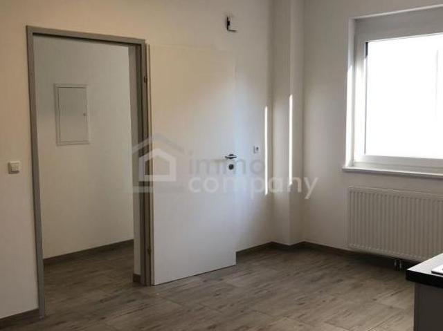 Zu Vermieten 1 Schlafzimmer Wohnung Burgenland Burgenland DS105976621