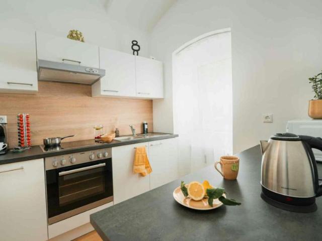 Zu Vermieten 1 Schlafzimmer Wohnung Graz Graz DS95565785