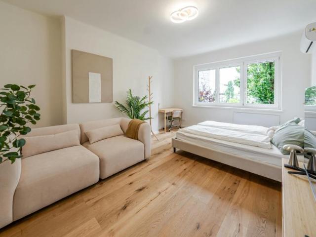 Zu Vermieten 1 Schlafzimmer Wohnung Graz Graz DS100764237