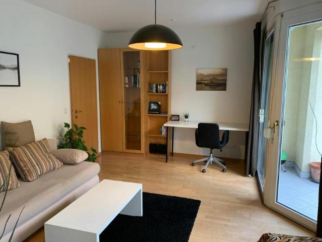 Zu Vermieten 1 Schlafzimmer Wohnung Graz Graz DS104912604