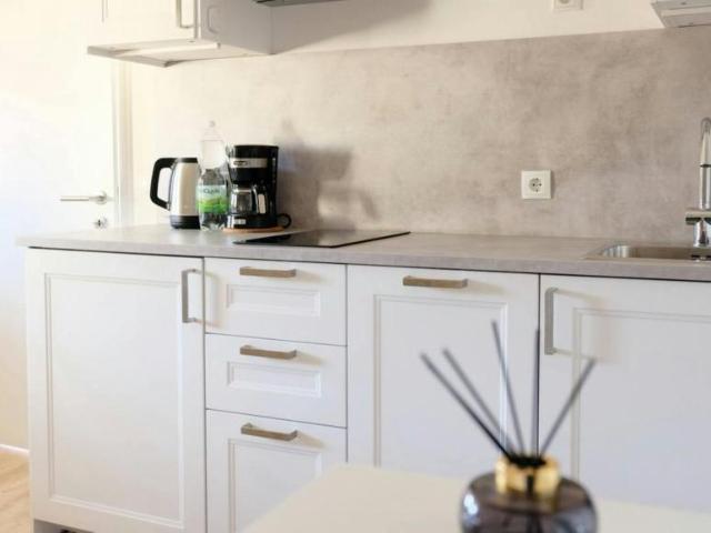 Zu Vermieten 1 Schlafzimmer Wohnung Graz Graz DS105655112