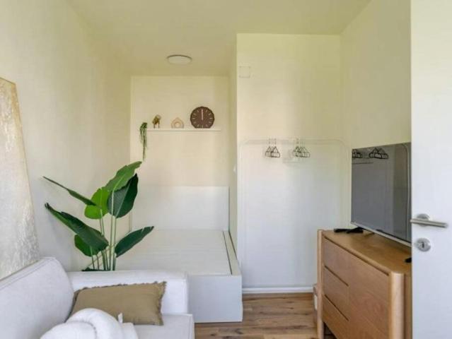 Zu Vermieten 1 Schlafzimmer Wohnung Graz Graz DS105655114
