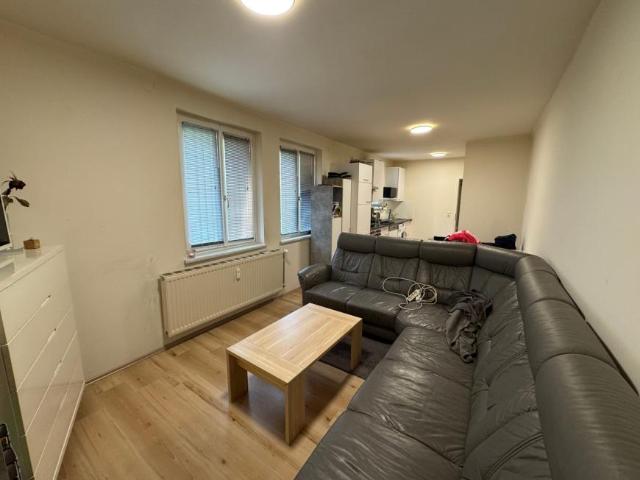 Zu Vermieten 1 Schlafzimmer Wohnung Hainfeld Hainfeld DS104845961
