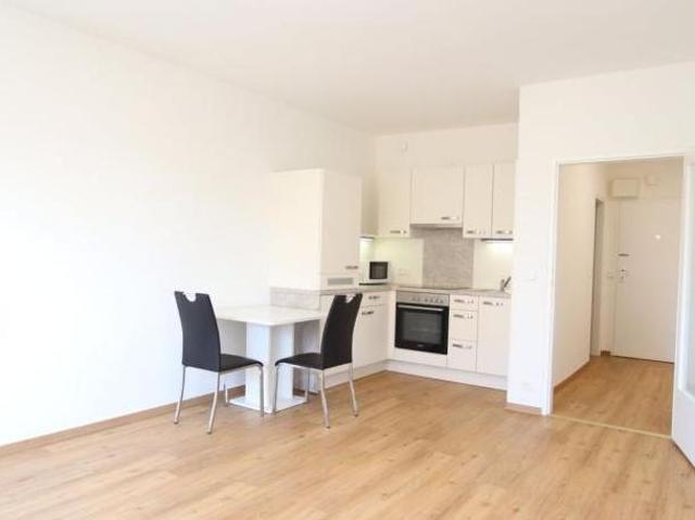 Zu Vermieten 1 Schlafzimmer Wohnung Kärnten Kärnten DS105571004