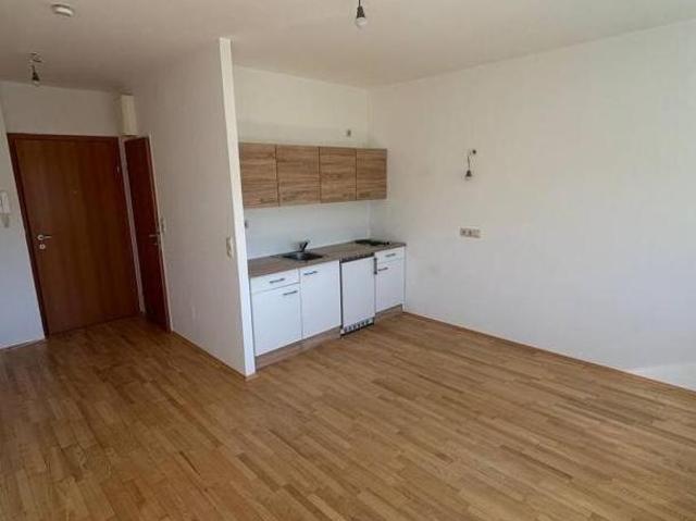 Zu Vermieten 1 Schlafzimmer Wohnung Kärnten Kärnten DS105760226