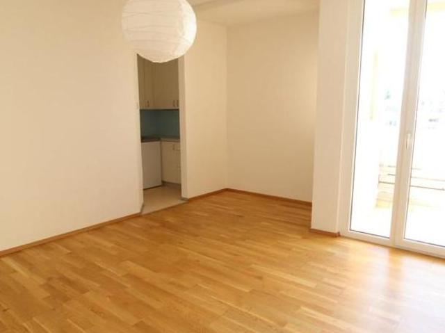 Zu Vermieten 1 Schlafzimmer Wohnung Kärnten Kärnten DS105284267