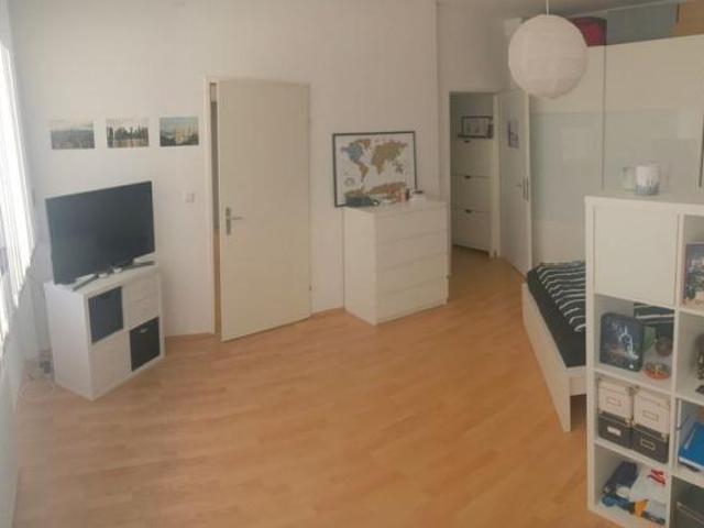 Zu Vermieten 1 Schlafzimmer Wohnung Linz AUT DS103245790