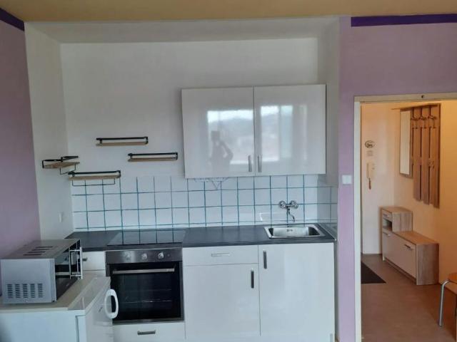 Zu Vermieten 1 Schlafzimmer Wohnung Linz Linz DS102850032