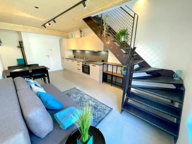 Zu Vermieten 1 Schlafzimmer Wohnung Linz Linz DS104783707