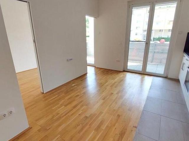 Zu Vermieten 1 Schlafzimmer Wohnung Niederösterreich Niederösterreich DS104975620