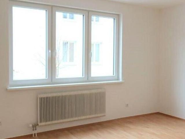 Zu Vermieten 1 Schlafzimmer Wohnung Niederösterreich Niederösterreich DS104227345