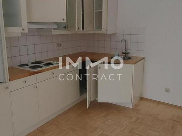 Zu Vermieten 1 Schlafzimmer Wohnung Niederösterreich Niederösterreich DS105489371