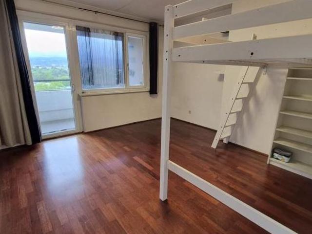 Zu Vermieten 1 Schlafzimmer Wohnung Niederösterreich Niederösterreich DS105508102