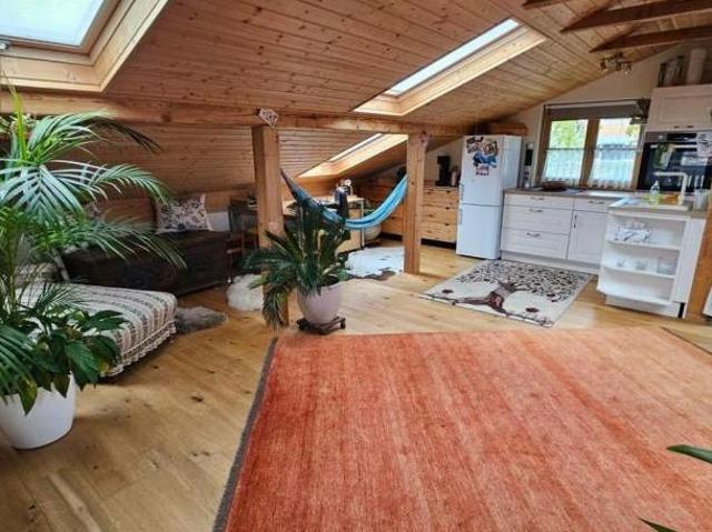 Zu Vermieten 1 Schlafzimmer Wohnung Niederösterreich Niederösterreich DS105605388