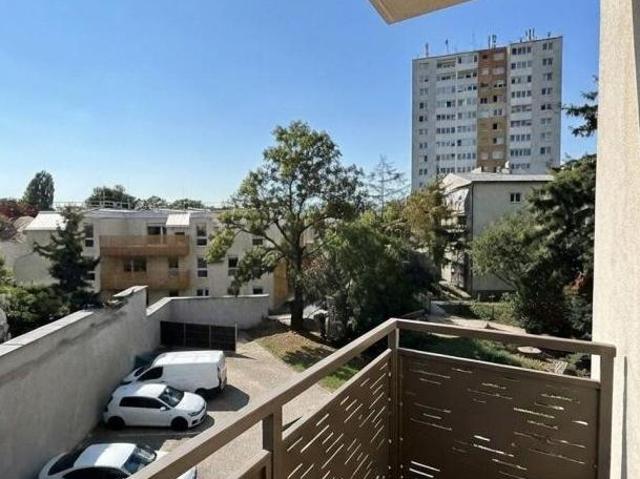 Zu Vermieten 1 Schlafzimmer Wohnung Niederösterreich Niederösterreich DS105976617