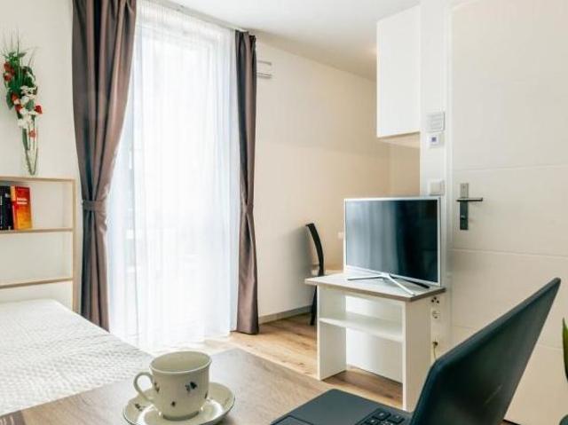 Zu Vermieten 1 Schlafzimmer Wohnung Niederösterreich Niederösterreich DS105055551