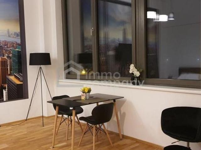 Zu Vermieten 1 Schlafzimmer Wohnung Niederösterreich Niederösterreich DS105338816