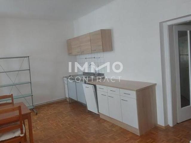 Zu Vermieten 1 Schlafzimmer Wohnung Niederösterreich Niederösterreich DS105346858