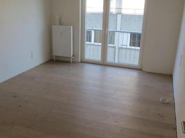 Zu Vermieten 1 Schlafzimmer Wohnung Niederösterreich Niederösterreich DS105380317