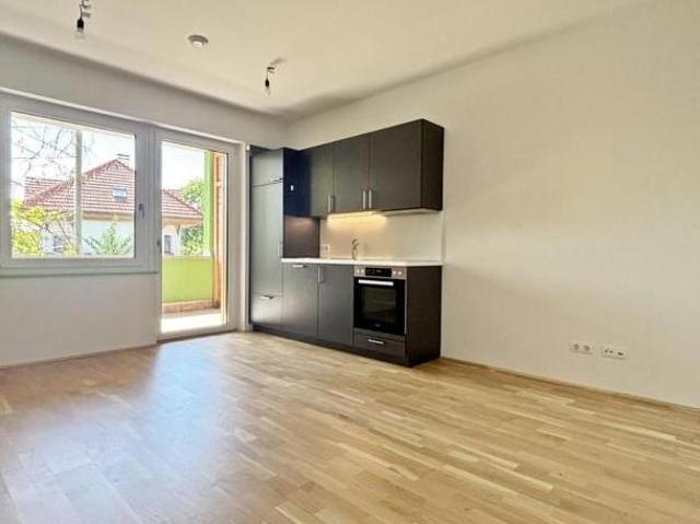 Zu Vermieten 1 Schlafzimmer Wohnung Oberösterreich Oberösterreich DS103772645