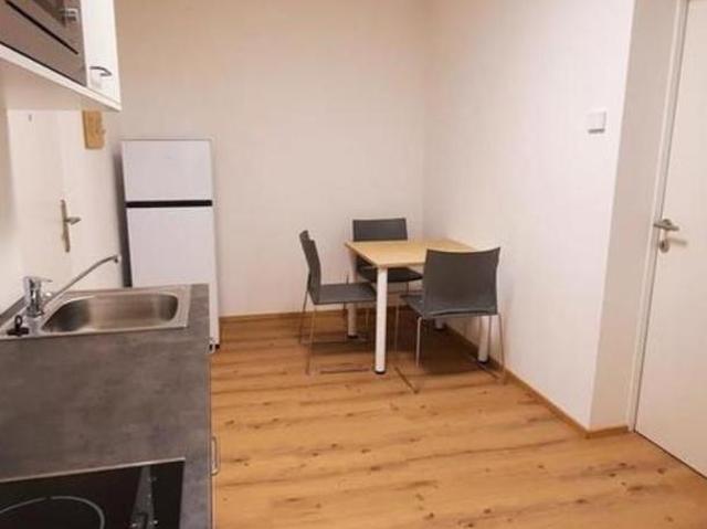 Zu Vermieten 1 Schlafzimmer Wohnung Oberösterreich Oberösterreich DS103881895