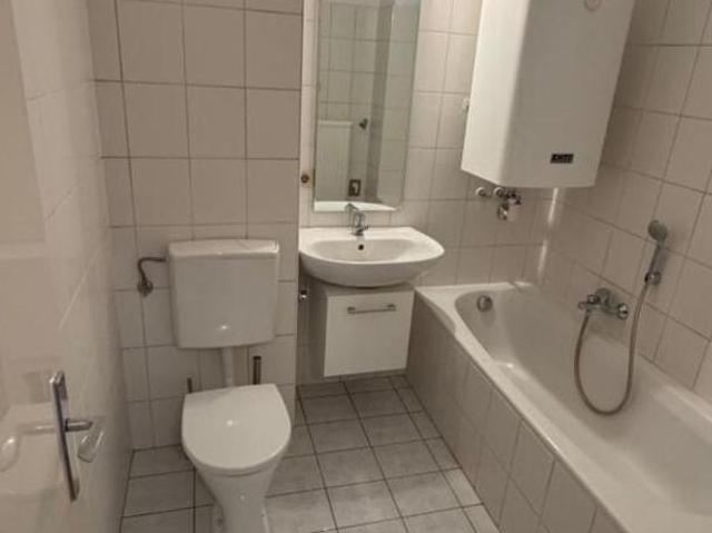 Zu Vermieten 1 Schlafzimmer Wohnung Oberösterreich Oberösterreich DS104185012
