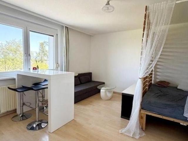 Zu Vermieten 1 Schlafzimmer Wohnung Oberösterreich Oberösterreich DS104473825