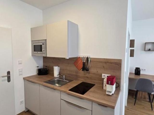 Zu Vermieten 1 Schlafzimmer Wohnung Oberösterreich Oberösterreich DS104844424