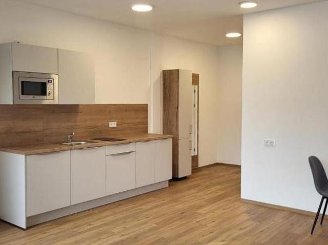 Zu Vermieten 1 Schlafzimmer Wohnung Oberösterreich Oberösterreich DS104844966
