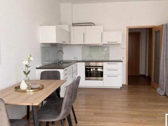 Zu Vermieten 1 Schlafzimmer Wohnung Oberösterreich Oberösterreich DS104844982