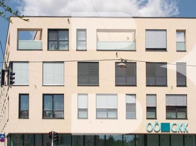 Zu Vermieten 1 Schlafzimmer Wohnung Oberösterreich Oberösterreich DS104890741